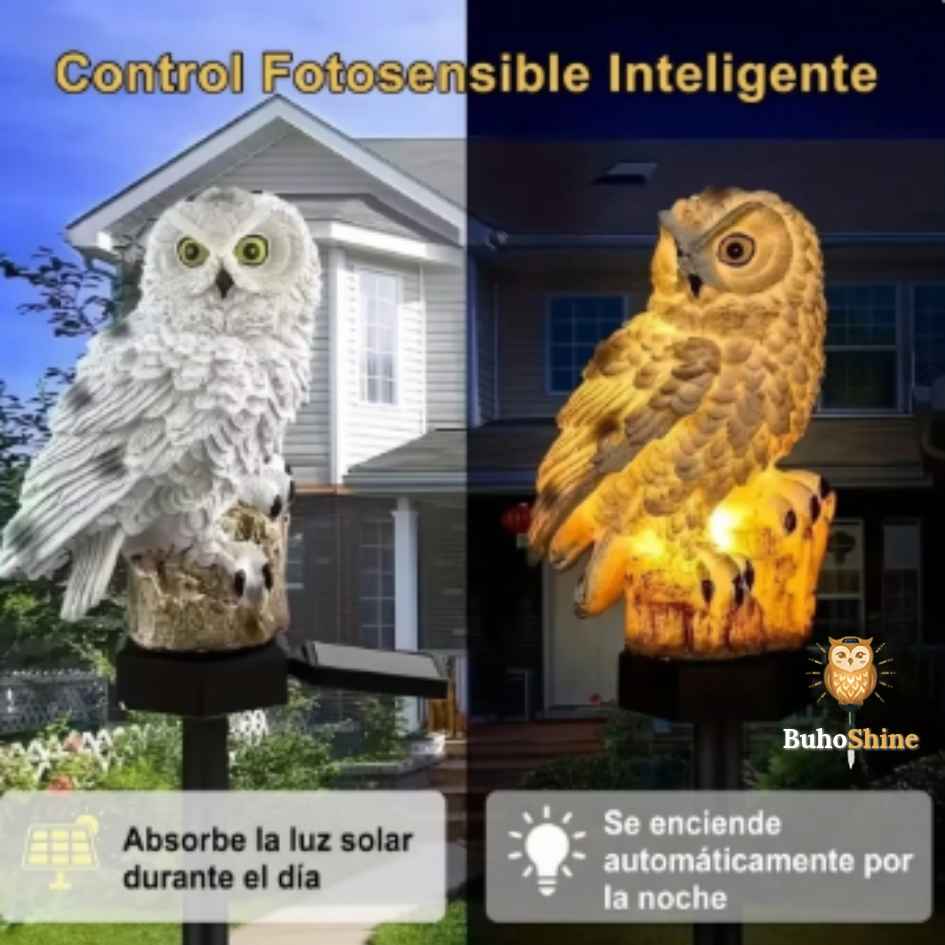 BuhoShine - Paral Lechuza-Búhos - OFERTA COMBO X2