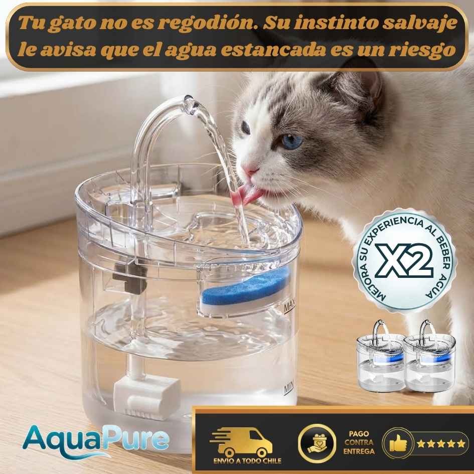 AquaPure - Agua fresca para tus mascotas