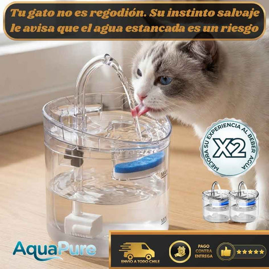 AquaPure - Agua fresca para tus mascotas