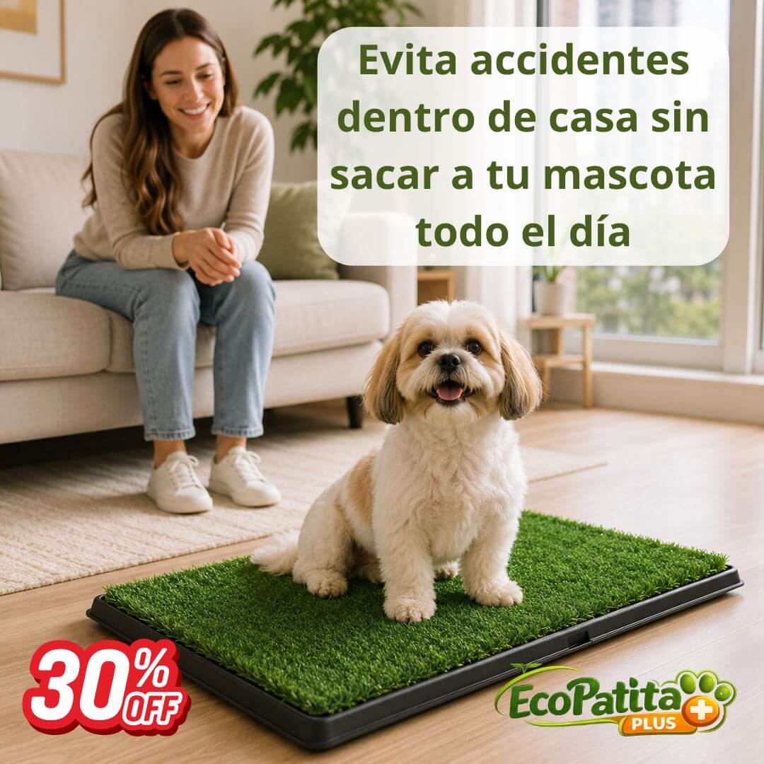 EcoPatitas Plus - Enseña a tu Mascota a Ir al Baño Dentro de Casa sin Ensuciar