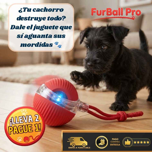 FurBall Pro - Diversión automática y duradera-LLEVA 2 PAGA 1