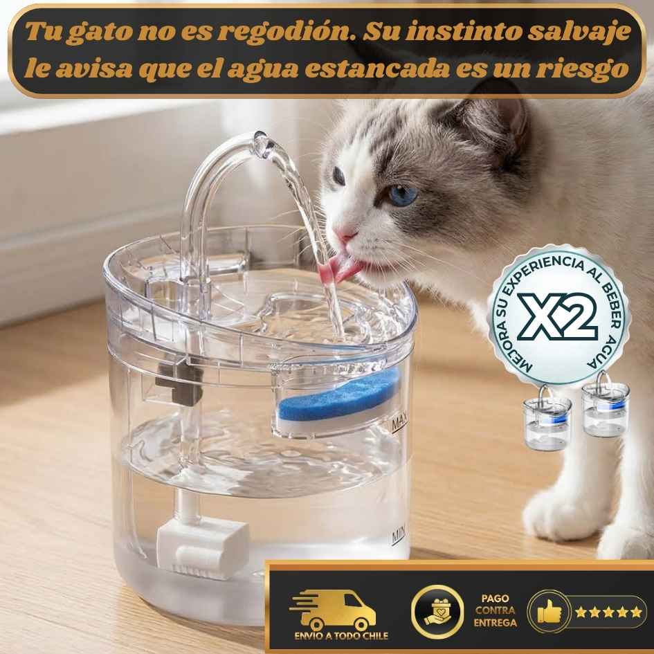 AquaPure - Agua fresca para tus mascotas