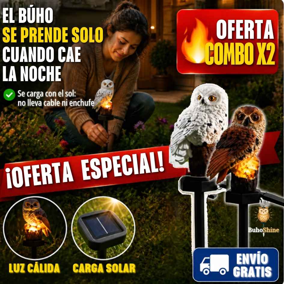 BuhoShine - Paral Lechuza-Búhos - OFERTA COMBO X2