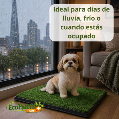 EcoPatitas Plus - Enseña a tu Mascota a Ir al Baño Dentro de Casa sin Ensuciar