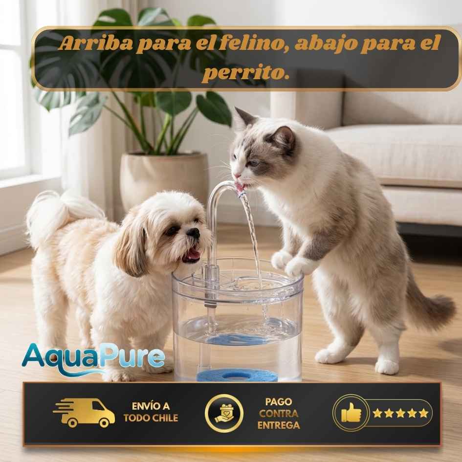 AquaPure - Agua fresca para tus mascotas