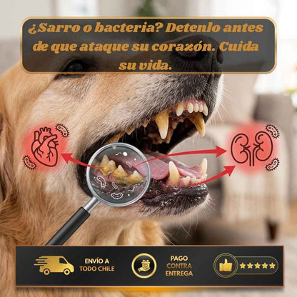 OralShield - Adiós sarro y mal aliento sin cepillar