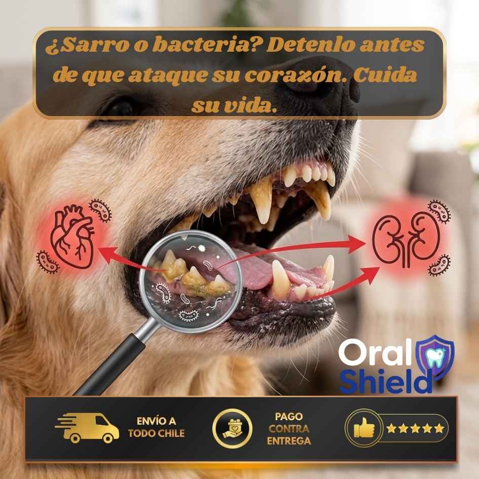 OralShield - Adiós sarro y mal aliento sin cepillar