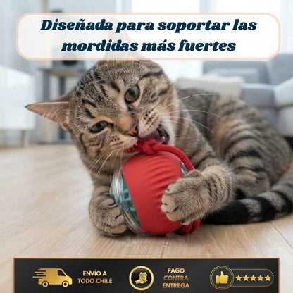 FurBall Pro - Diversión automática y duradera-LLEVA 2 PAGA 1