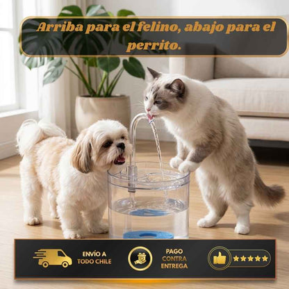 AquaPure - Agua fresca para tus mascotas