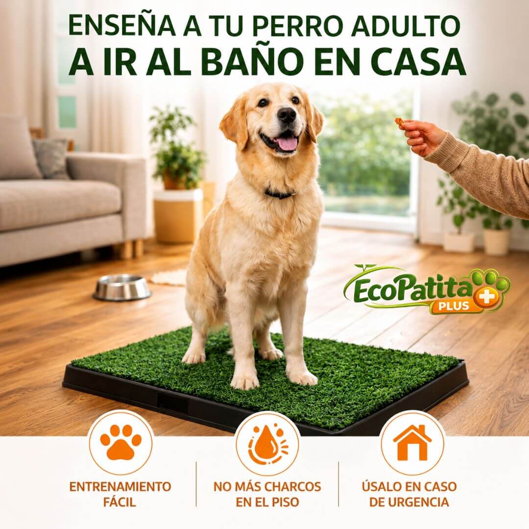 EcoPatitas Plus - Enseña a tu Mascota a Ir al Baño Dentro de Casa sin Ensuciar