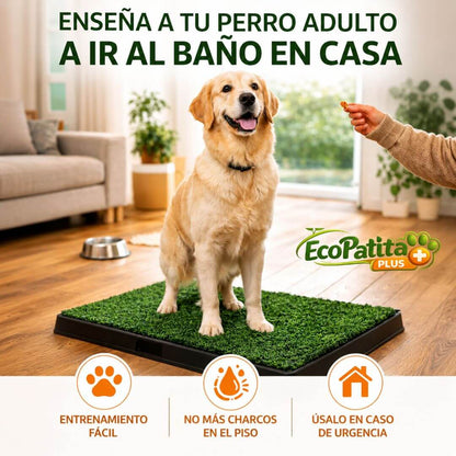 EcoPatitas Plus - Enseña a tu Mascota a Ir al Baño Dentro de Casa sin Ensuciar