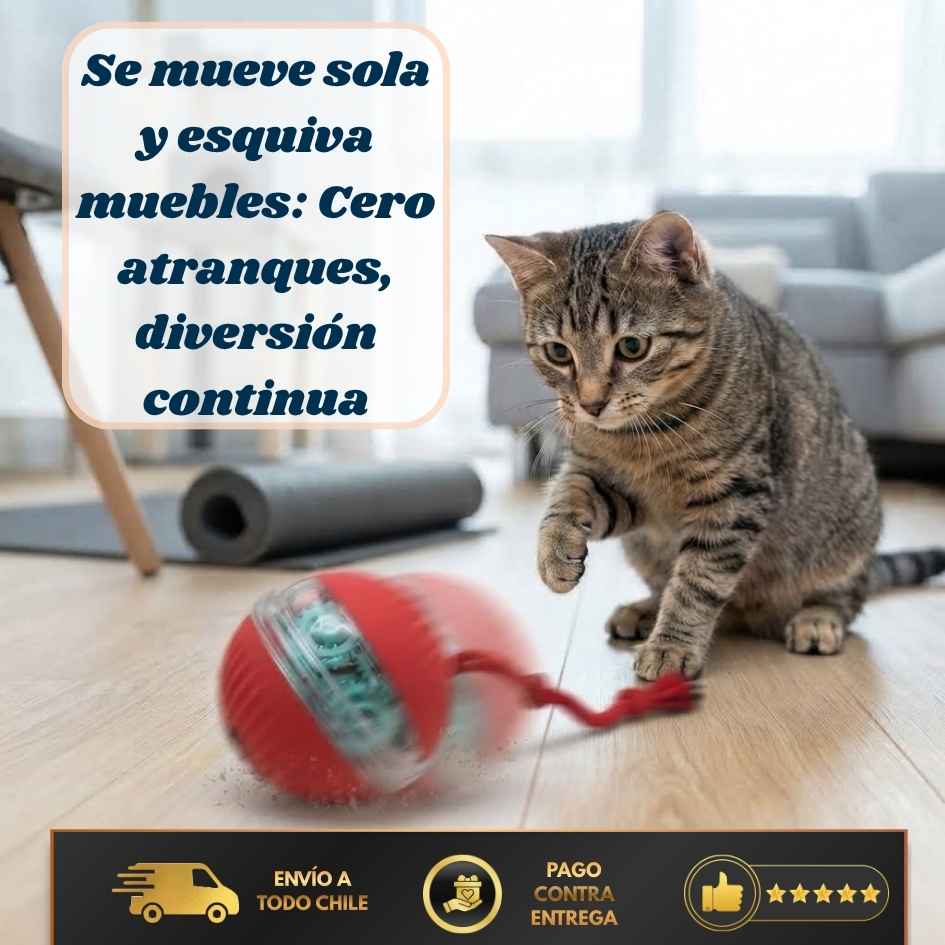 FurBall Pro - Diversión automática y duradera-LLEVA 2 PAGA 1