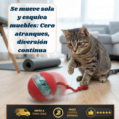 FurBall Pro - Diversión automática y duradera-LLEVA 2 PAGA 1