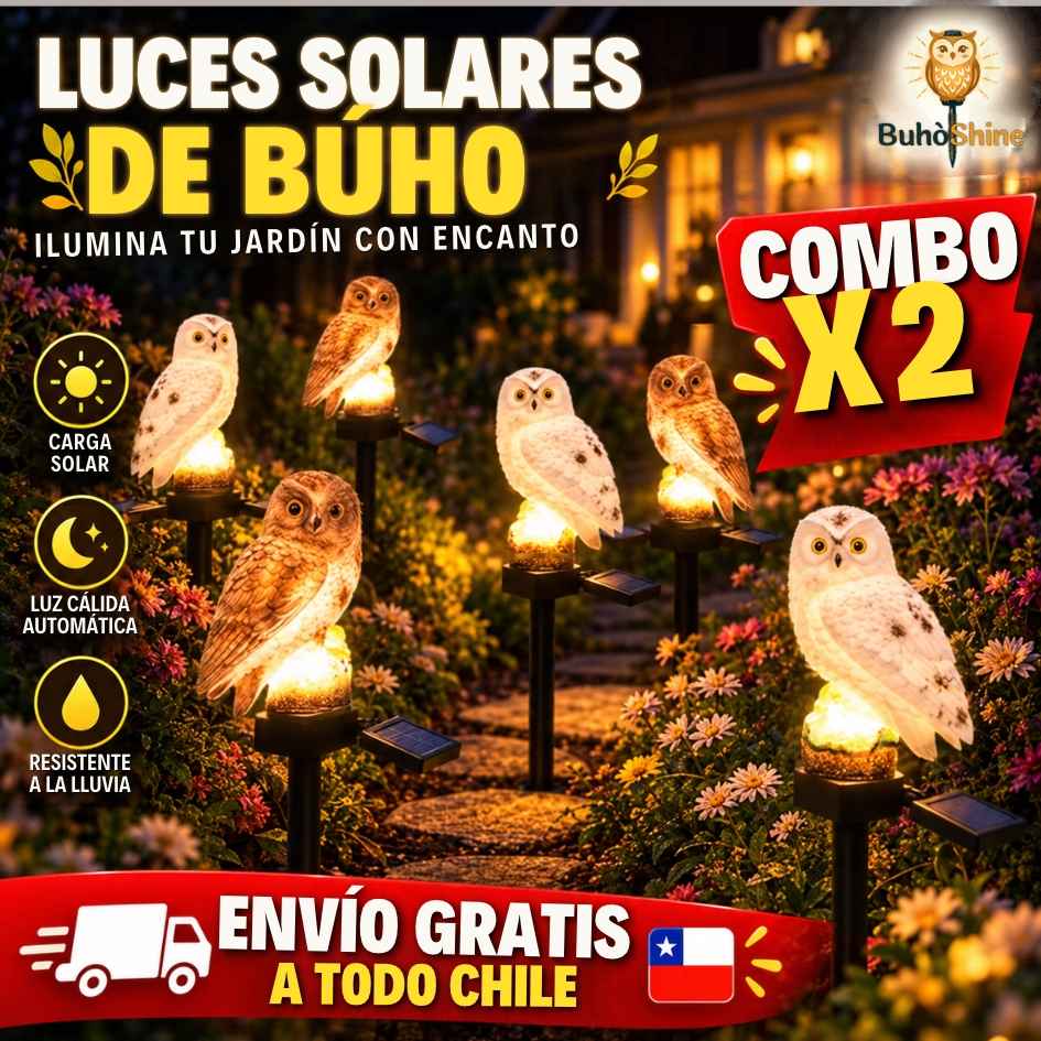 BuhoShine - Paral Lechuza-Búhos - OFERTA COMBO X2
