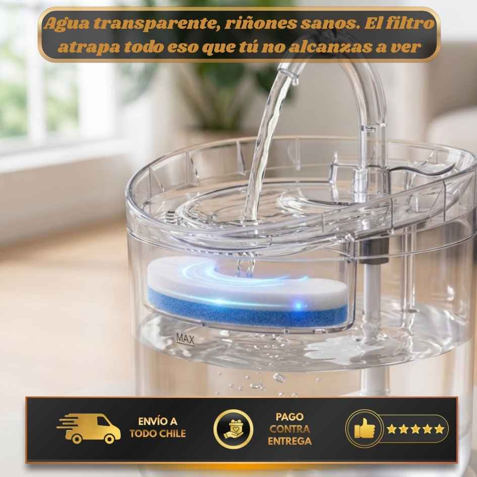 AquaPure - Agua fresca para tus mascotas