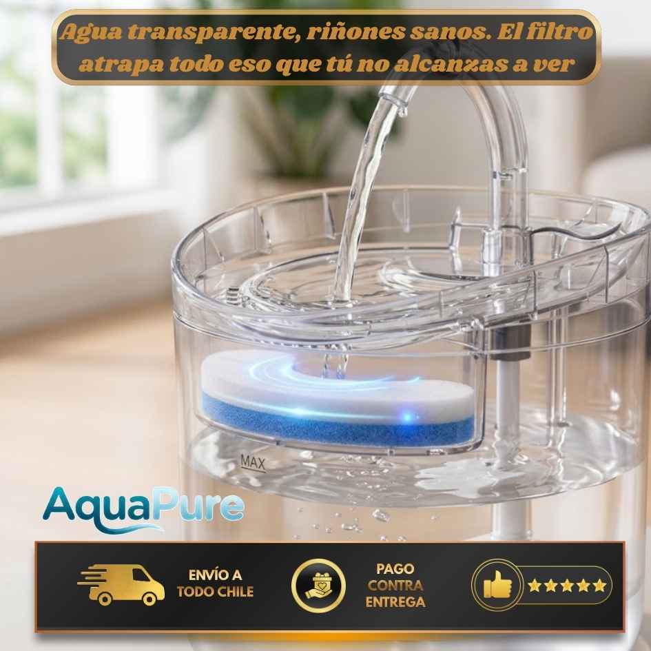 AquaPure - Agua fresca para tus mascotas