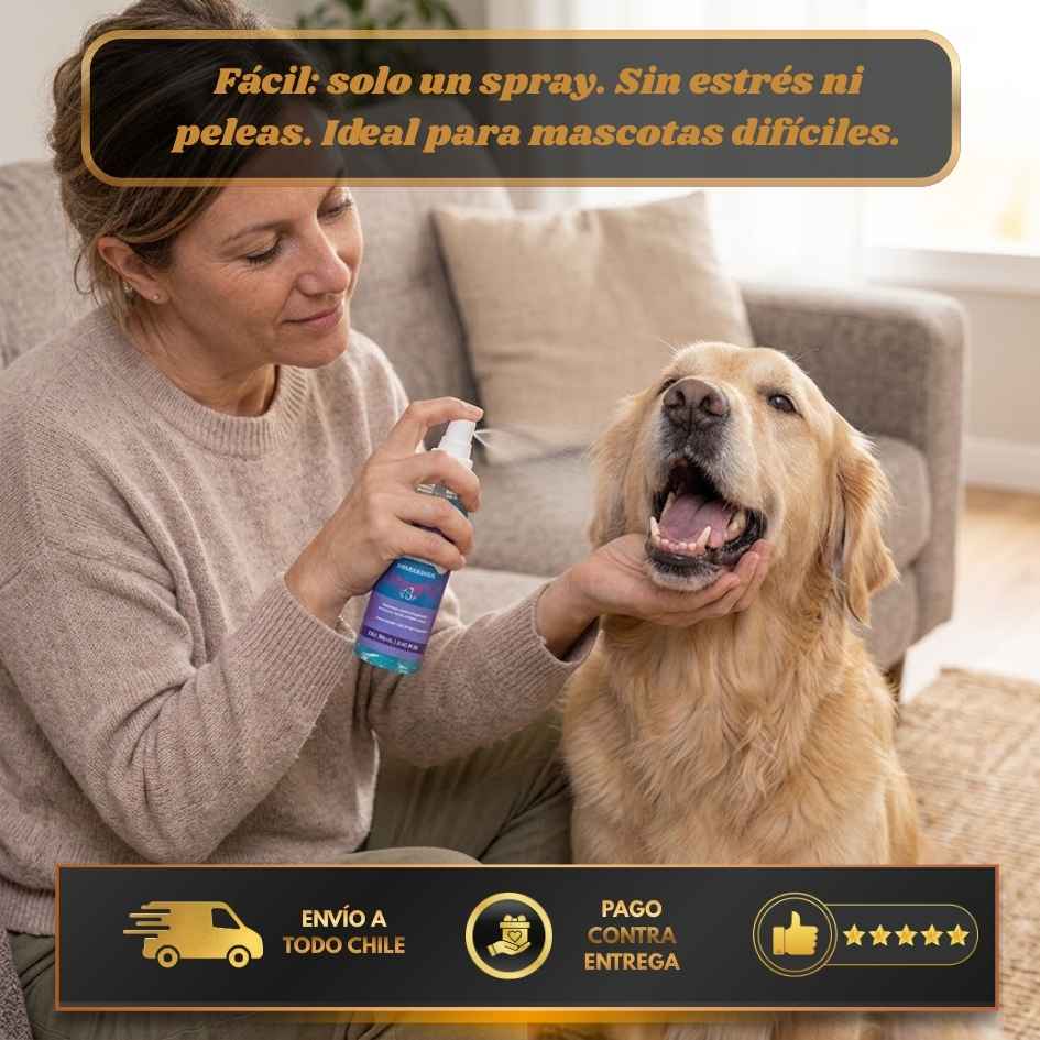 OralShield - Adiós sarro y mal aliento sin cepillar
