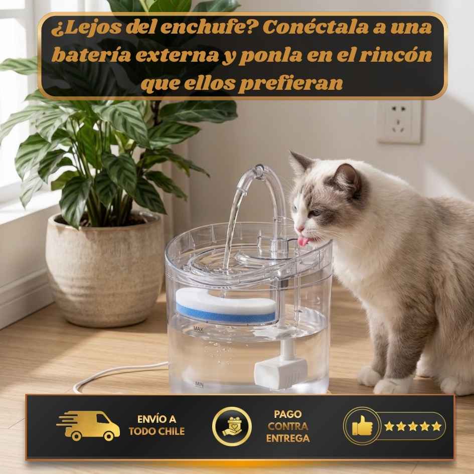 AquaPure - Agua fresca para tus mascotas