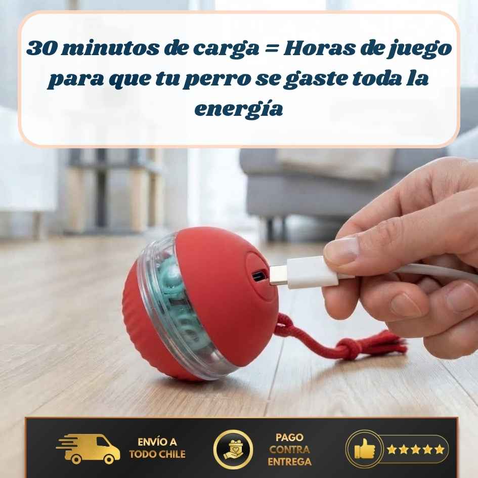FurBall Pro - Diversión automática y duradera-LLEVA 2 PAGA 1