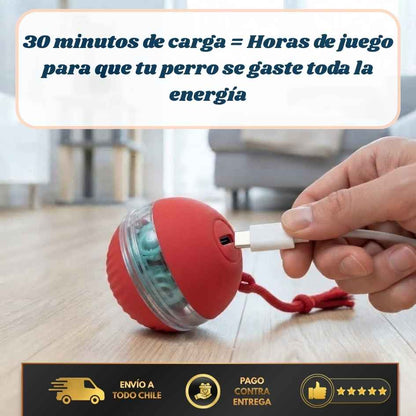 FurBall Pro - Diversión automática y duradera-LLEVA 2 PAGA 1