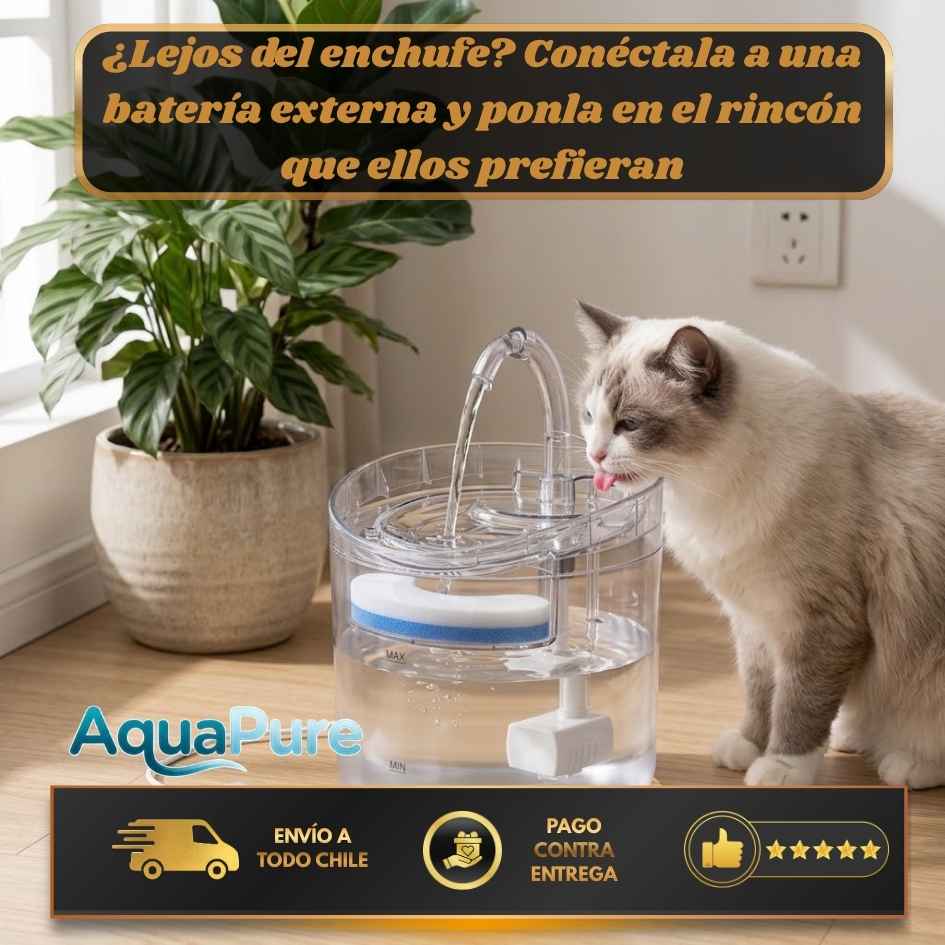 AquaPure - Agua fresca para tus mascotas