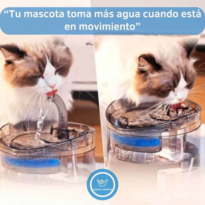 ClearWater Pet - Bebedero de Mascotas Transparente - Agua Siempre Limpia y Lista para Beber